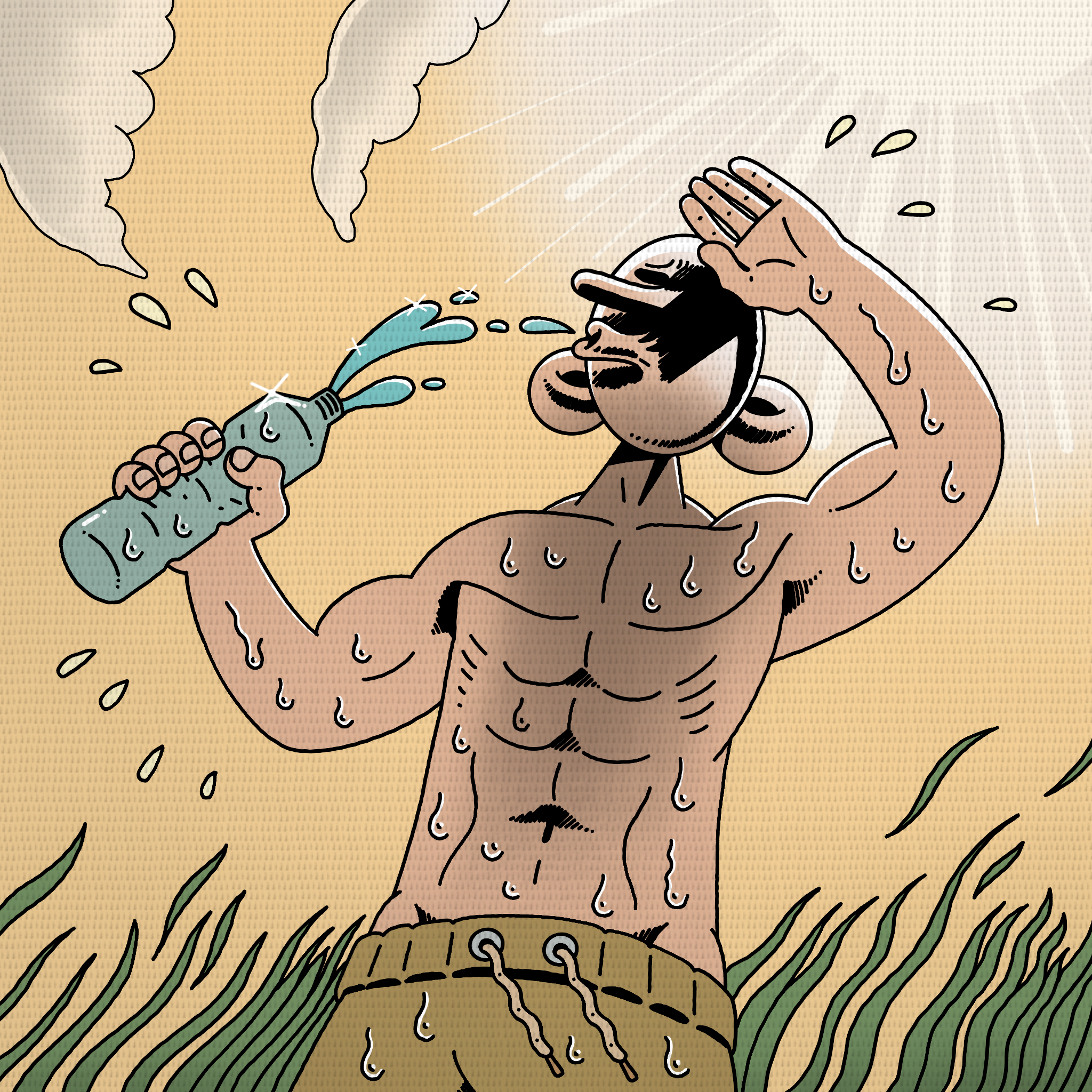 Anteprima illustrata della sezione Donazioni